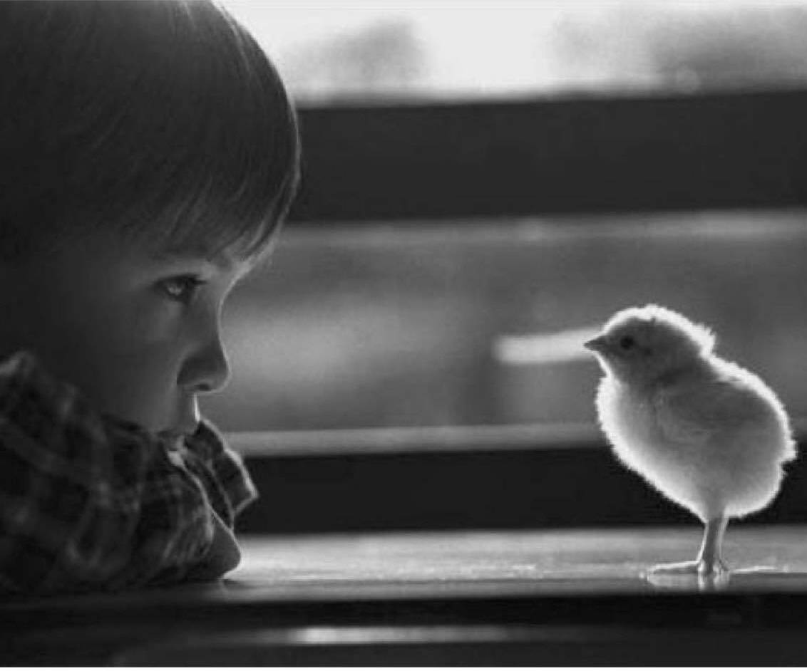 Внимание к мелочам. Часть 1<br>